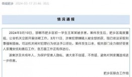 邯郸初中生杀人案最新爆料,惊人真相曝光，校园暴力背后的黑暗面