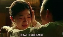 韩国二十二在线观看,揭秘神秘朝鲜半岛生活画卷